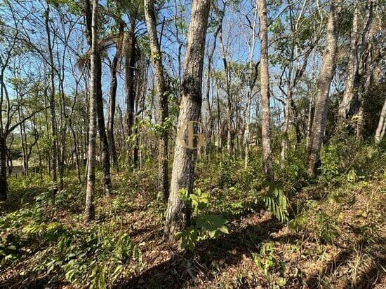Terreno de 1.128 m² Condomínio Canto do Riacho - Lagoa Santa, à venda por R$ 275.000 foto 2