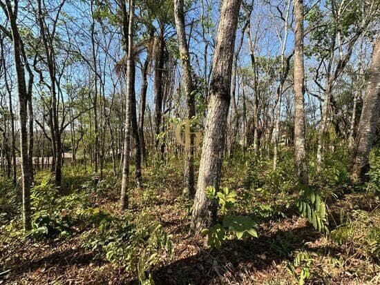 Terreno de 1.128 m² Condomínio Canto do Riacho - Lagoa Santa, à venda por R$ 275.000 foto 3