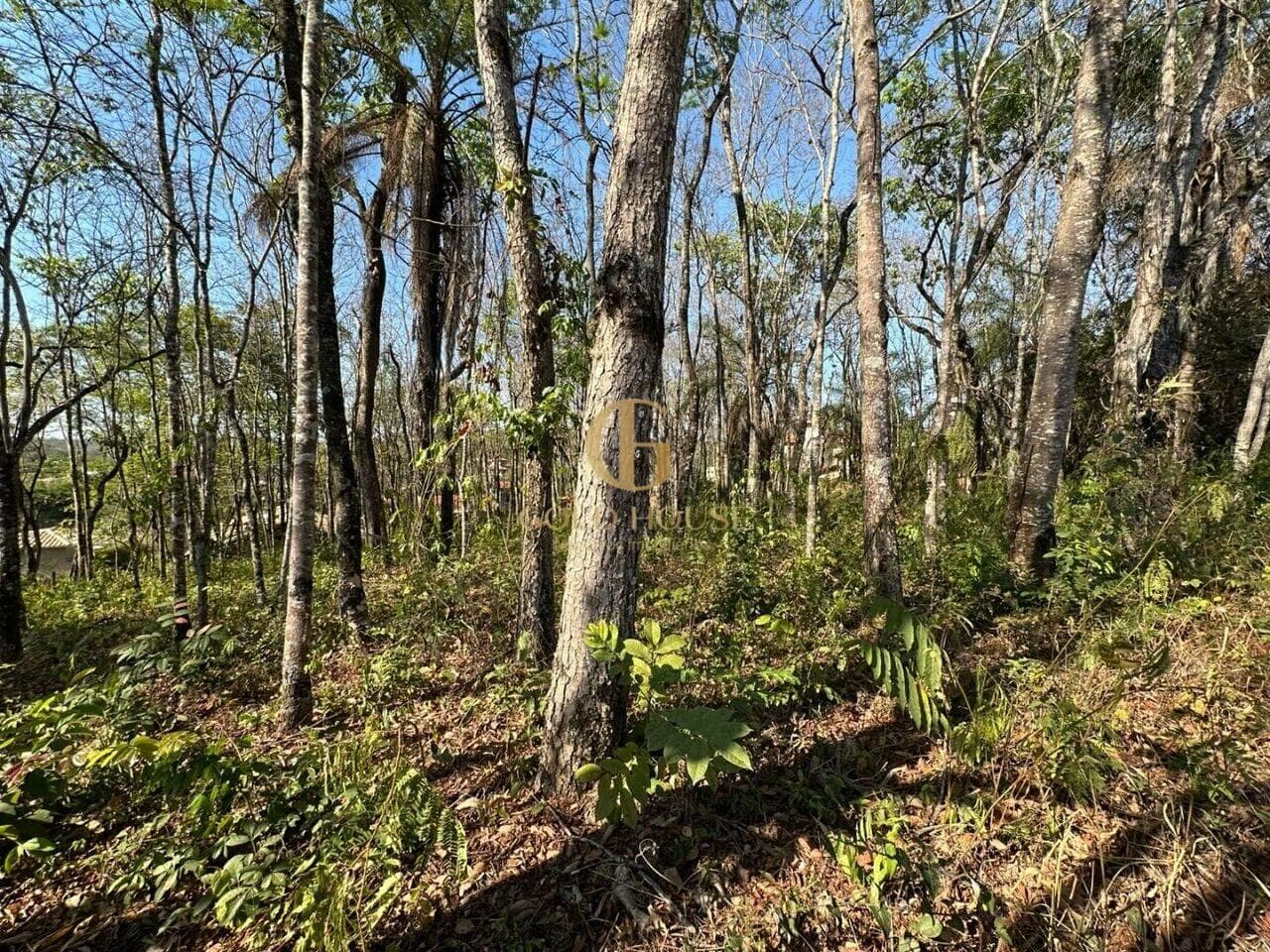 Terreno de 1.128 m² Condomínio Canto do Riacho - Lagoa Santa, à venda por R$ 275.000 foto 7
