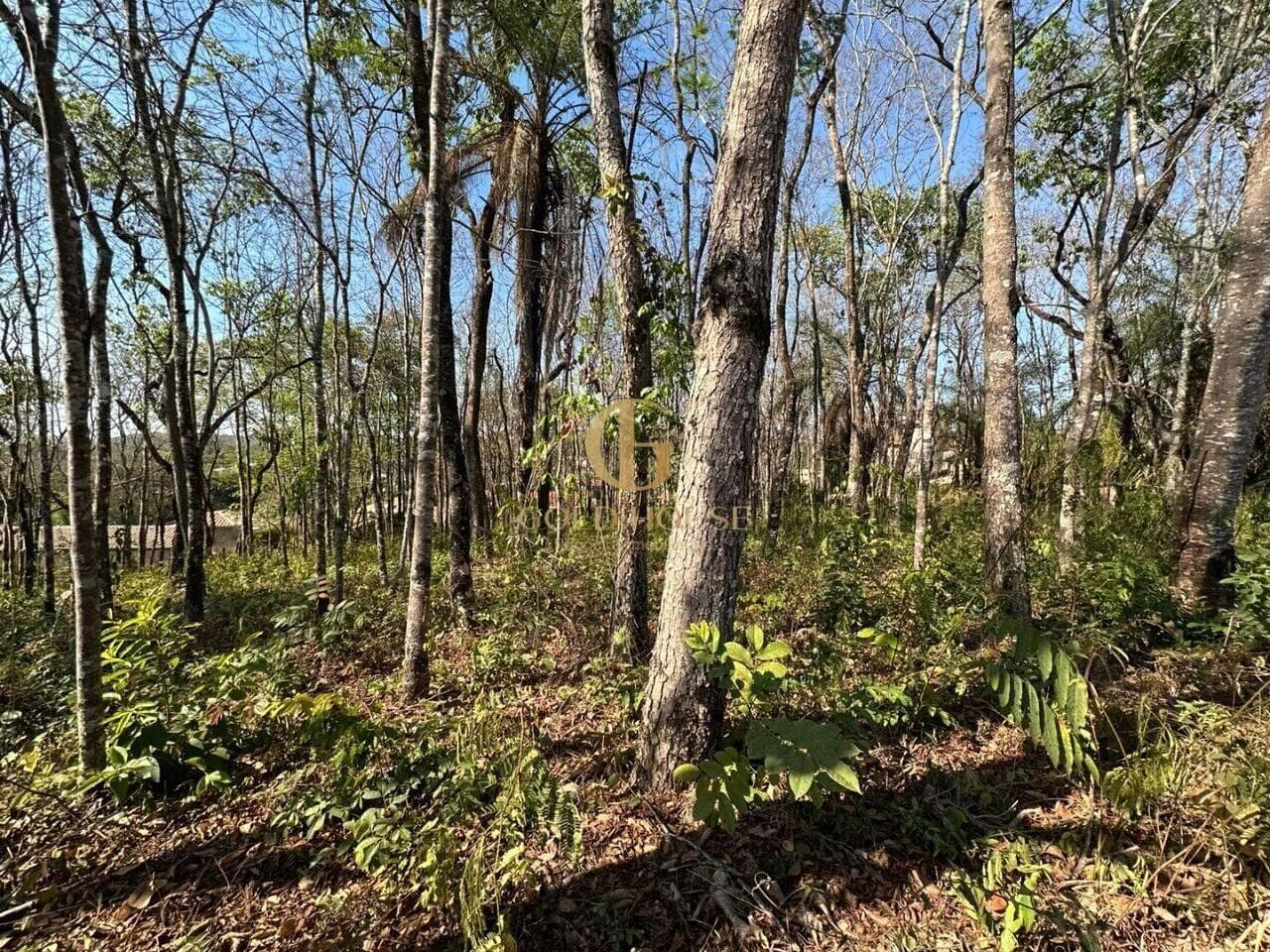 Terreno de 1.128 m² Condomínio Canto do Riacho - Lagoa Santa, à venda por R$ 275.000 foto 8