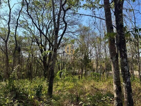 Terreno de 1.551 m² Condomínio Canto do Riacho - Lagoa Santa, à venda por R$ 325.000 foto 1