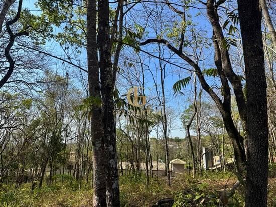 Terreno de 1.551 m² Condomínio Canto do Riacho - Lagoa Santa, à venda por R$ 325.000 foto 4