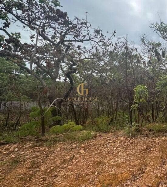 Terreno de 497 m² Condomínio Mariposas - Lagoa Santa, à venda por R$ 370.000 foto 4
