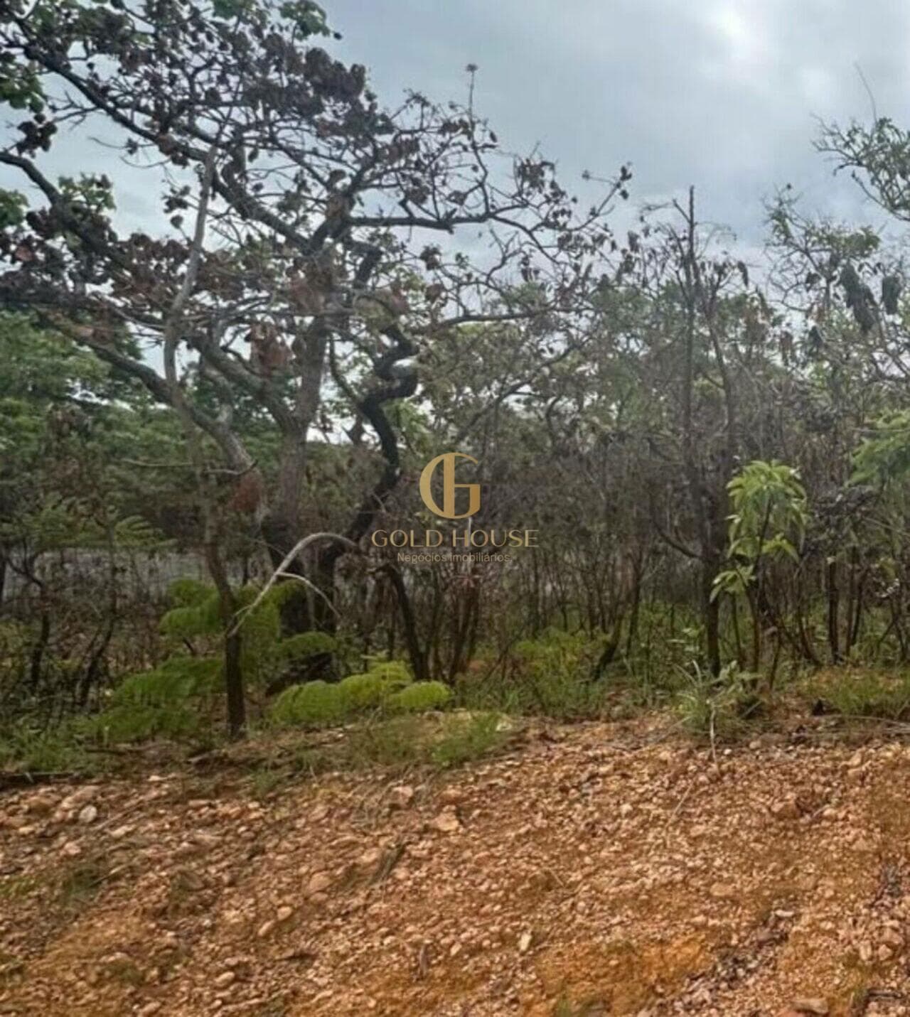 Terreno de 497 m² Condomínio Mariposas - Lagoa Santa, à venda por R$ 370.000 foto 8