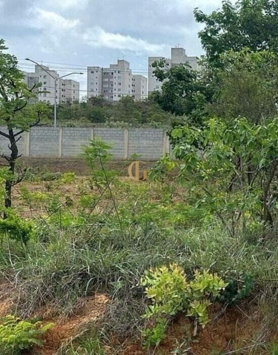 Terreno de 419 m² Condomínio Mariposas - Lagoa Santa, à venda por R$ 380.000 foto 4