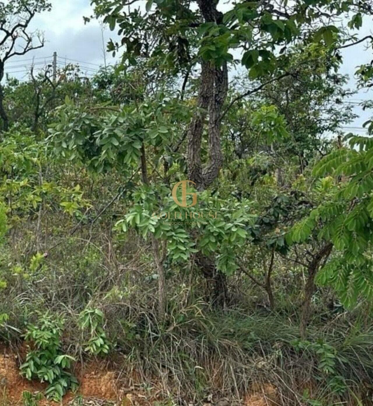 Terreno de 419 m² Condomínio Mariposas - Lagoa Santa, à venda por R$ 380.000 foto 8