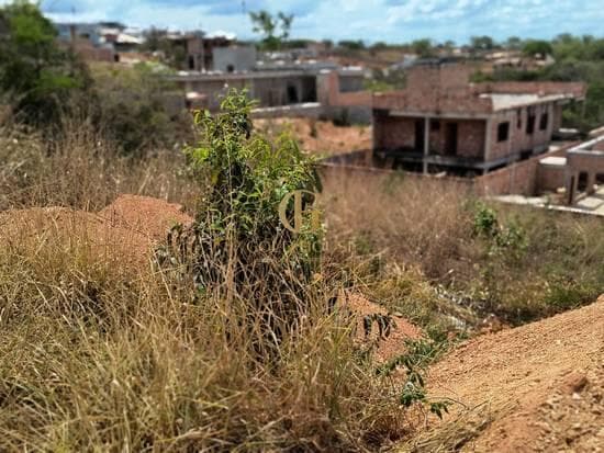 Terreno de 360 m² Condomínio Parque dos Buritis - Lagoa Santa, à venda por R$ 190.000 foto 1