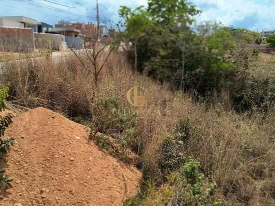 Terreno de 360 m² Condomínio Parque dos Buritis - Lagoa Santa, à venda por R$ 190.000 foto 4