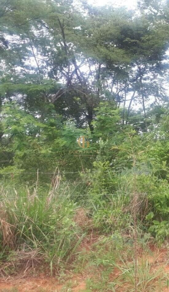 Terreno de 1.000 m² Shalimar - Lagoa Santa, à venda por R$ 260.000 foto 1