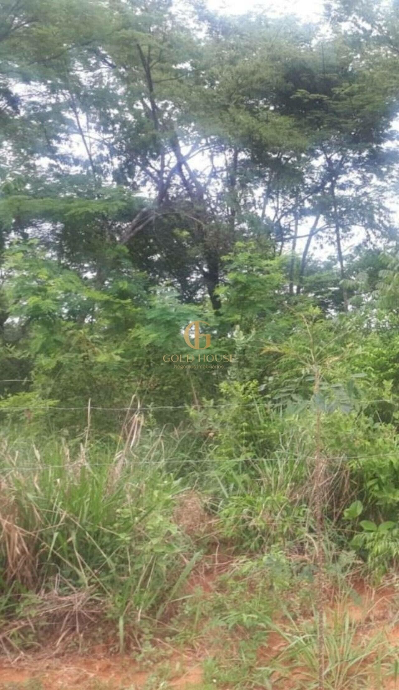 Terreno de 1.000 m² Shalimar - Lagoa Santa, à venda por R$ 260.000 foto 3