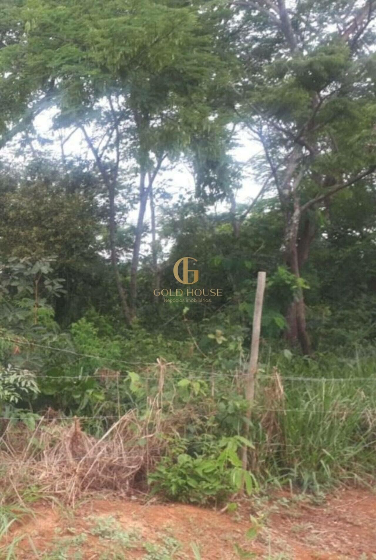 Terreno de 1.000 m² Shalimar - Lagoa Santa, à venda por R$ 260.000 foto 4