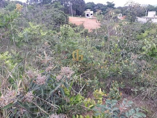 Terreno de 1.000 m² Shalimar - Lagoa Santa, à venda por R$ 260.000 foto 6