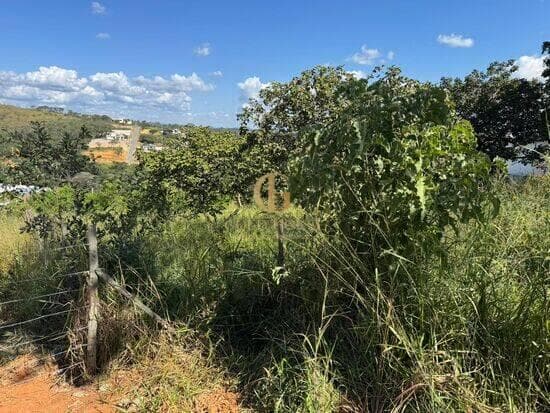 Terreno de 1.000 m² Shalimar - Lagoa Santa, à venda por R$ 260.000 foto 7