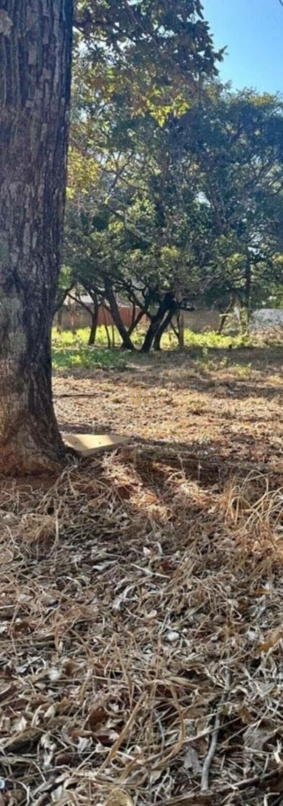 Terreno de 1.000 m² Joá - Lagoa Santa, à venda por R$ 900.000 foto 1