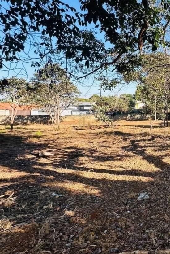 Terreno de 1.000 m² Joá - Lagoa Santa, à venda por R$ 900.000 foto 3