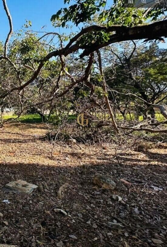 Terreno de 1.000 m² Joá - Lagoa Santa, à venda por R$ 900.000 foto 2