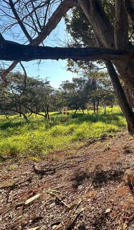 Terreno de 1.000 m² Joá - Lagoa Santa, à venda por R$ 900.000 foto 4
