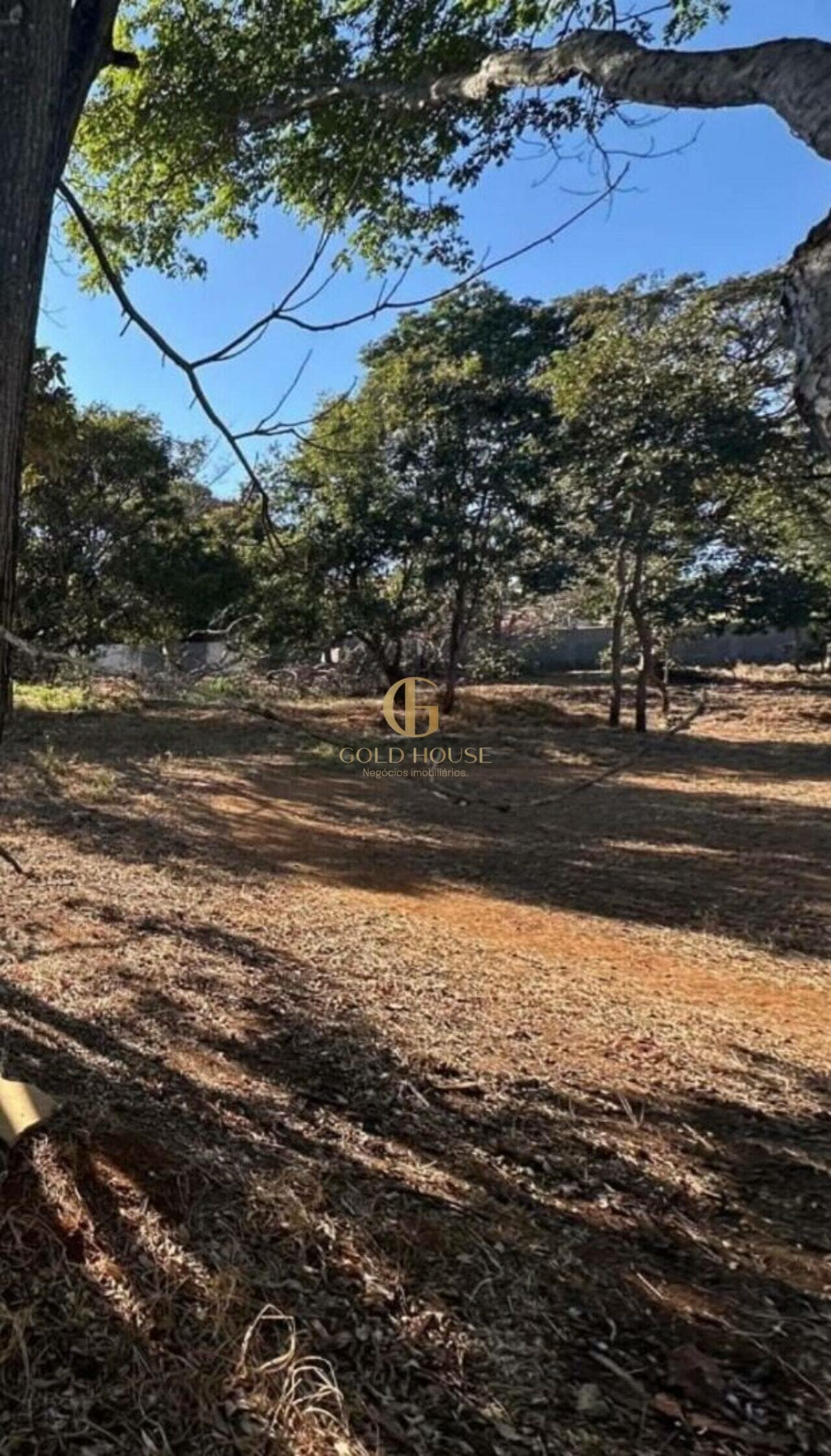 Terreno de 1.000 m² Joá - Lagoa Santa, à venda por R$ 900.000 foto 8