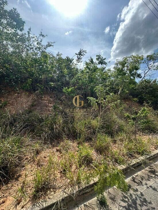 Terreno de 525 m² Vila Paradiso - Lagoa Santa, à venda por R$ 250.000 foto 3