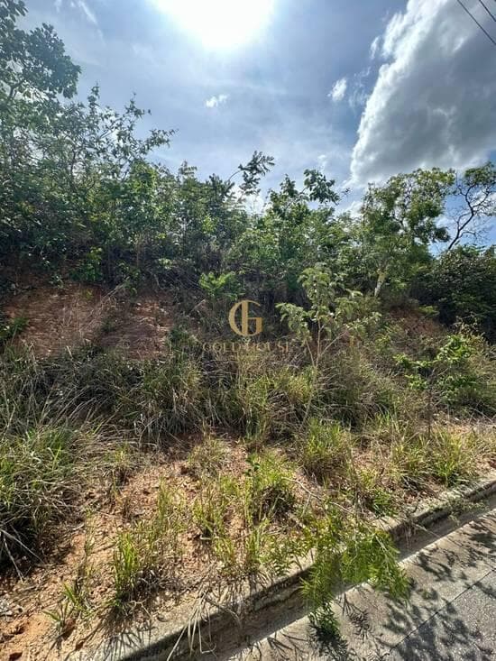 Terreno de 525 m² Vila Paradiso - Lagoa Santa, à venda por R$ 250.000 foto 4
