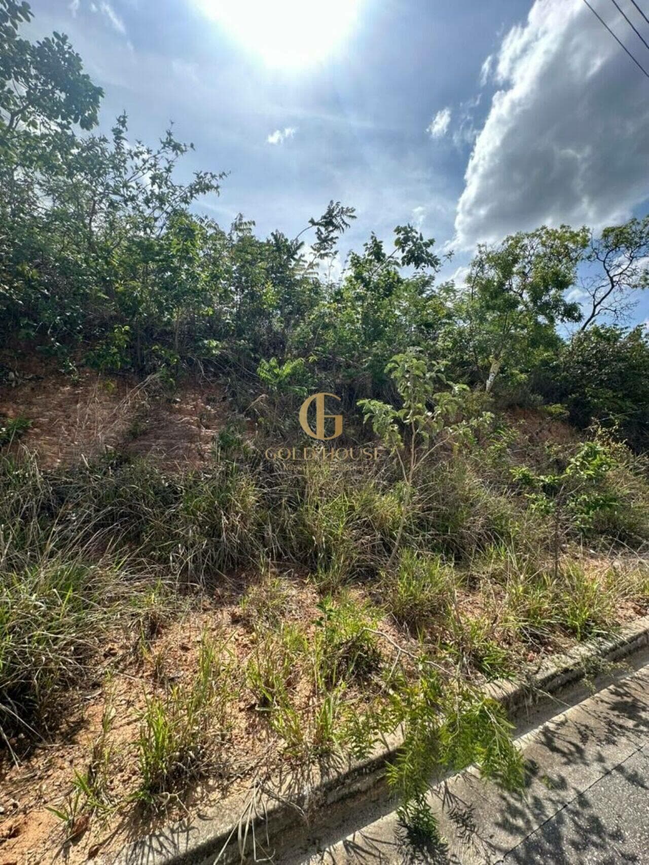Terreno de 525 m² Vila Paradiso - Lagoa Santa, à venda por R$ 250.000 foto 8
