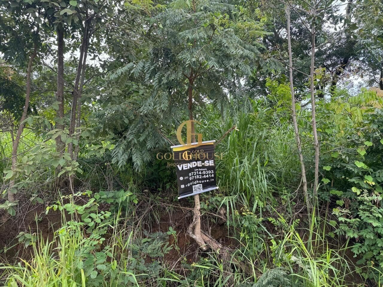 Terreno de 1.004 m² Condomínio Versailles Ville de France - Lagoa Santa, à venda por R$ 350.000 foto 6