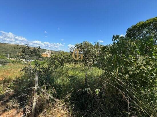 Terreno de 1.000 m² Shalimar - Lagoa Santa, à venda por R$ 280.000 foto 2