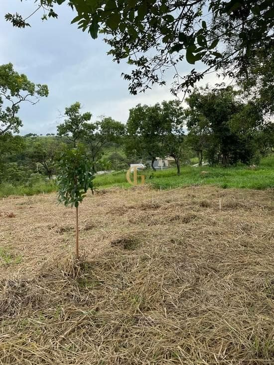 Terreno de 692 m² Condomínio Lagoa Santa Park Residence - Lagoa Santa, à venda por R$ 460.000 foto 1