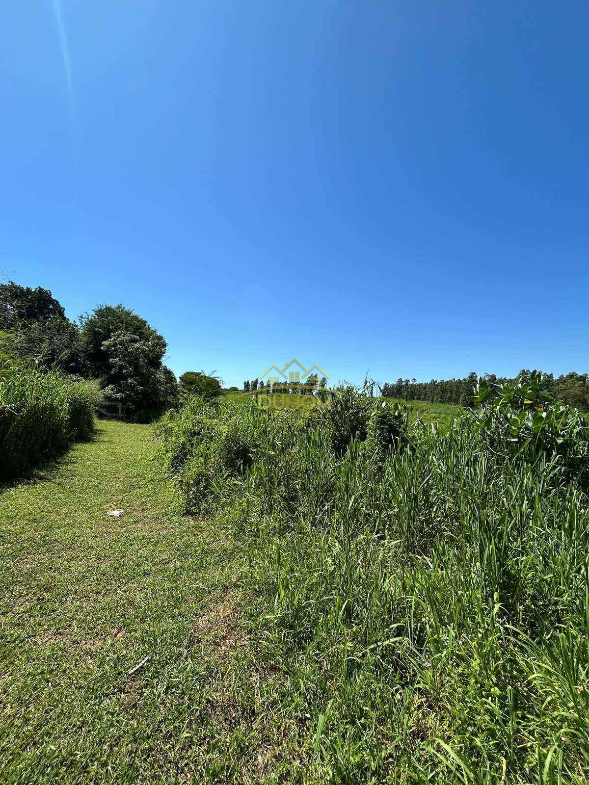 Sítio para Venda por R$ 600.000, Área Rural em Castilho/SP foto 7