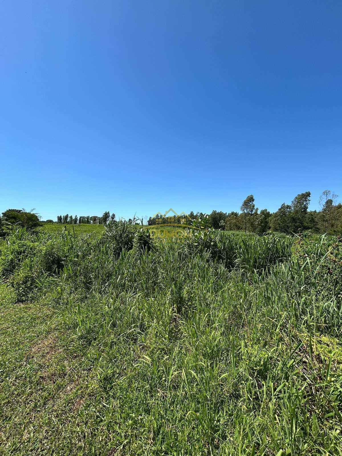 Sítio para Venda por R$ 600.000, Área Rural em Castilho/SP foto 8