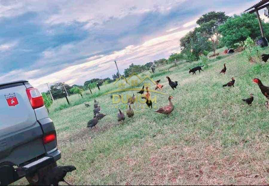 Sítio para Venda por R$ 250.000, Área Rural em Tres Lagoas/MS foto 3