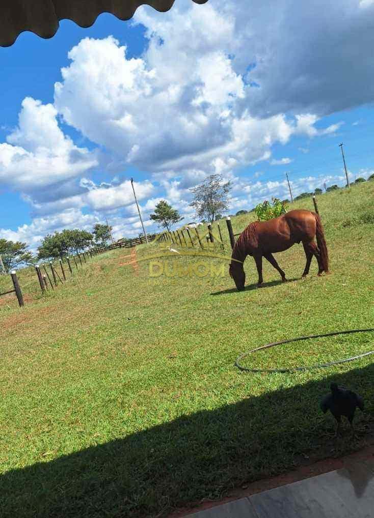 Sítio para Venda por R$ 250.000, Área Rural em Tres Lagoas/MS foto 5