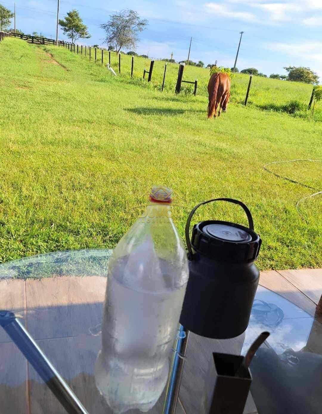 Sítio para Venda por R$ 250.000, Área Rural em Tres Lagoas/MS foto 7