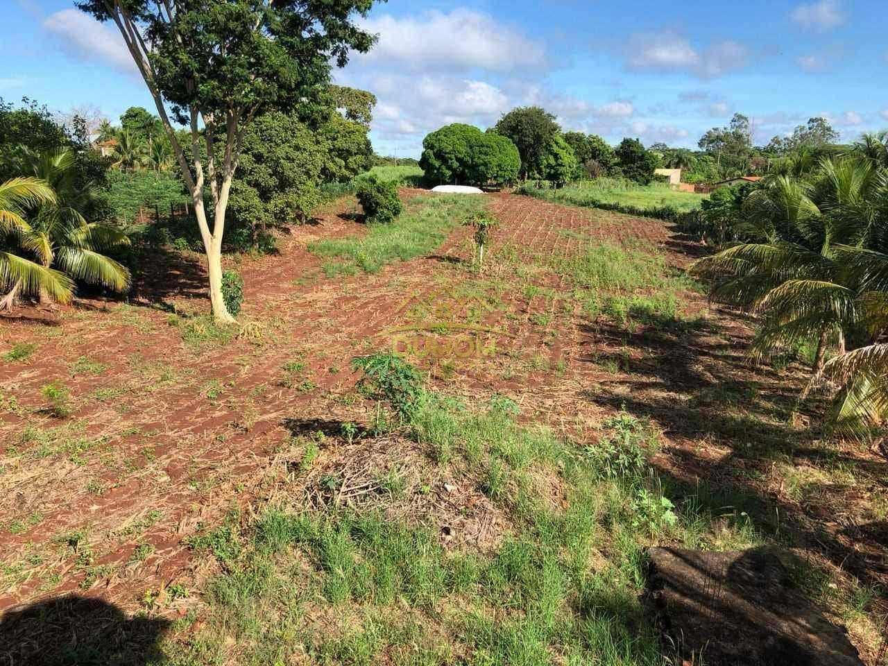 Chácara para Venda por R$ 350.000, Recanto Das Águas em Ilha Solteira/SP foto 7