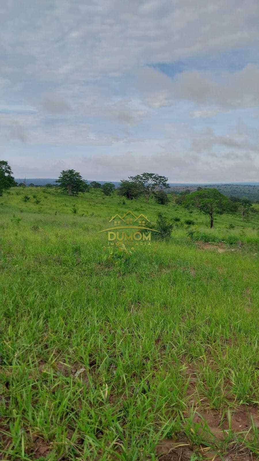 Fazenda para Venda por R$ 7.500.000, Com Parte Em Sonora - Ms em Alto Araguaia/MT foto 1