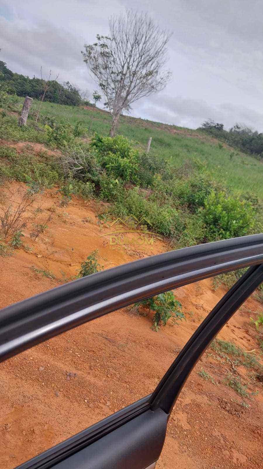 Fazenda para Venda por R$ 7.500.000, Com Parte Em Sonora - Ms em Alto Araguaia/MT foto 3