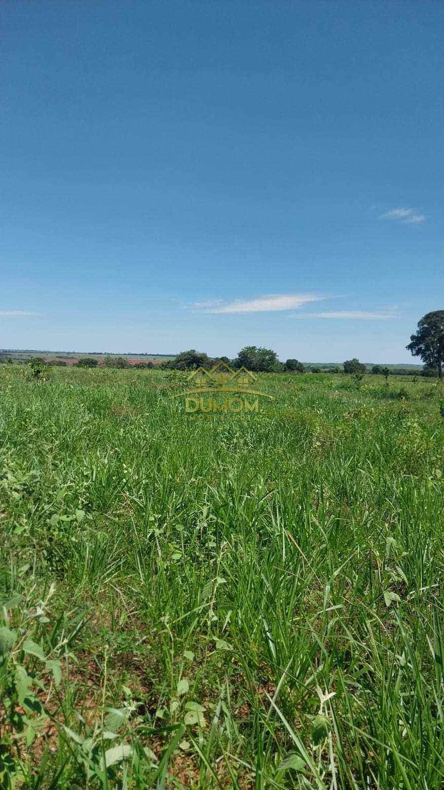 Fazenda para Venda por R$ 7.500.000, Com Parte Em Sonora - Ms em Alto Araguaia/MT foto 4
