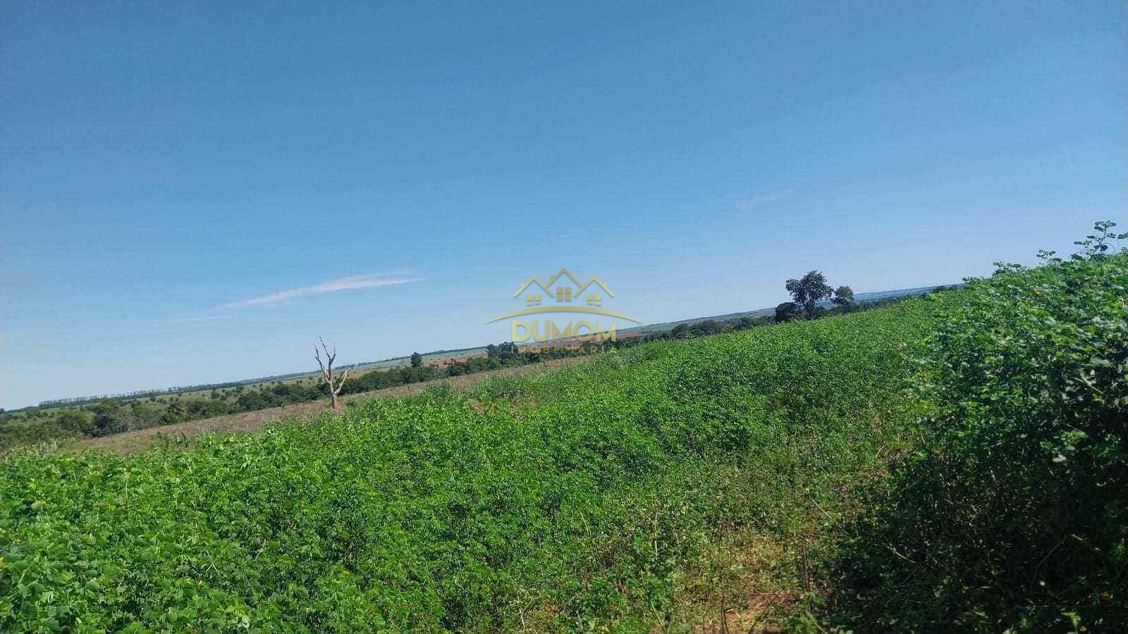 Fazenda para Venda por R$ 7.500.000, Com Parte Em Sonora - Ms em Alto Araguaia/MT foto 5