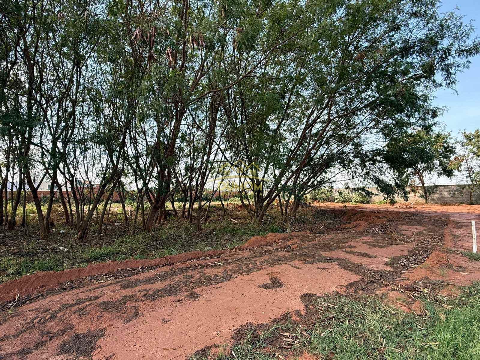 Terreno para Venda por R$ 400.000, Jardim Alvorada em Tres Lagoas/MS foto 3