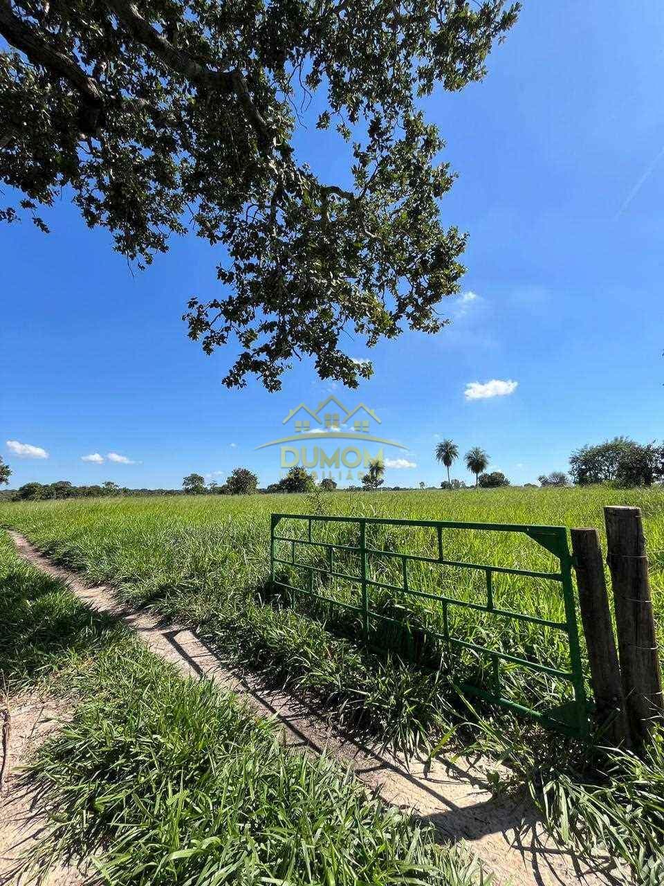 Sítio para Venda por R$ 750.000, Área Rural em Tres Lagoas/MS foto 1