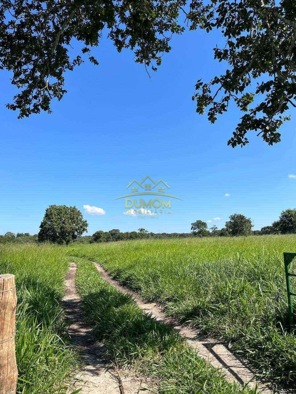 Sítio para Venda por R$ 750.000, Área Rural em Tres Lagoas/MS foto 2