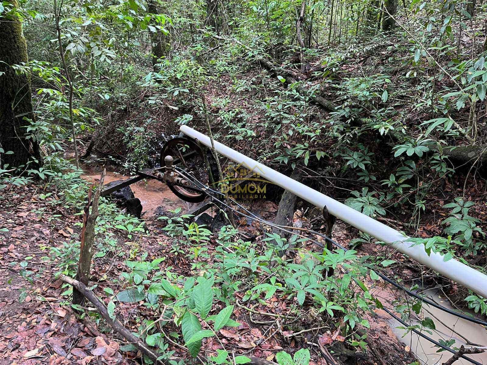 Fazenda para Venda por R$ 7.055.000, Zona Rural em Inocencia/MS foto 6
