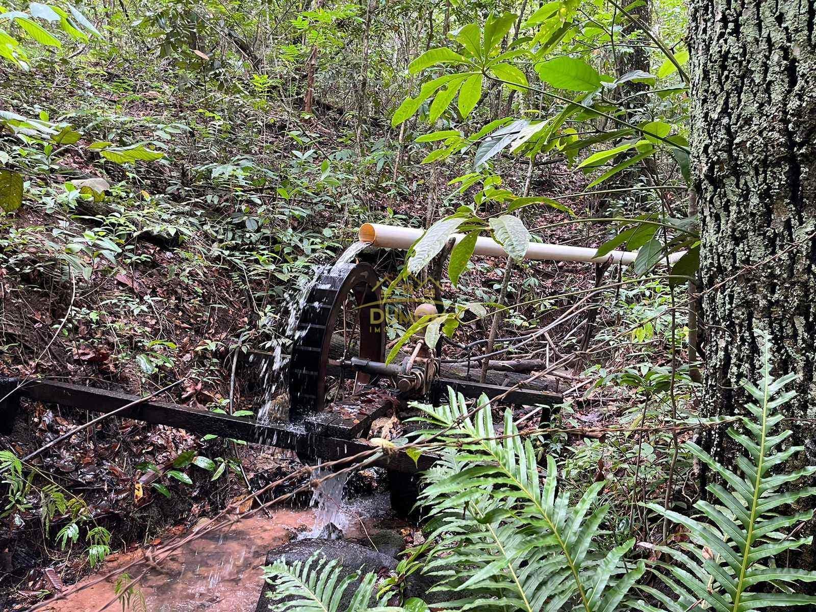 Fazenda para Venda por R$ 7.055.000, Zona Rural em Inocencia/MS foto 7