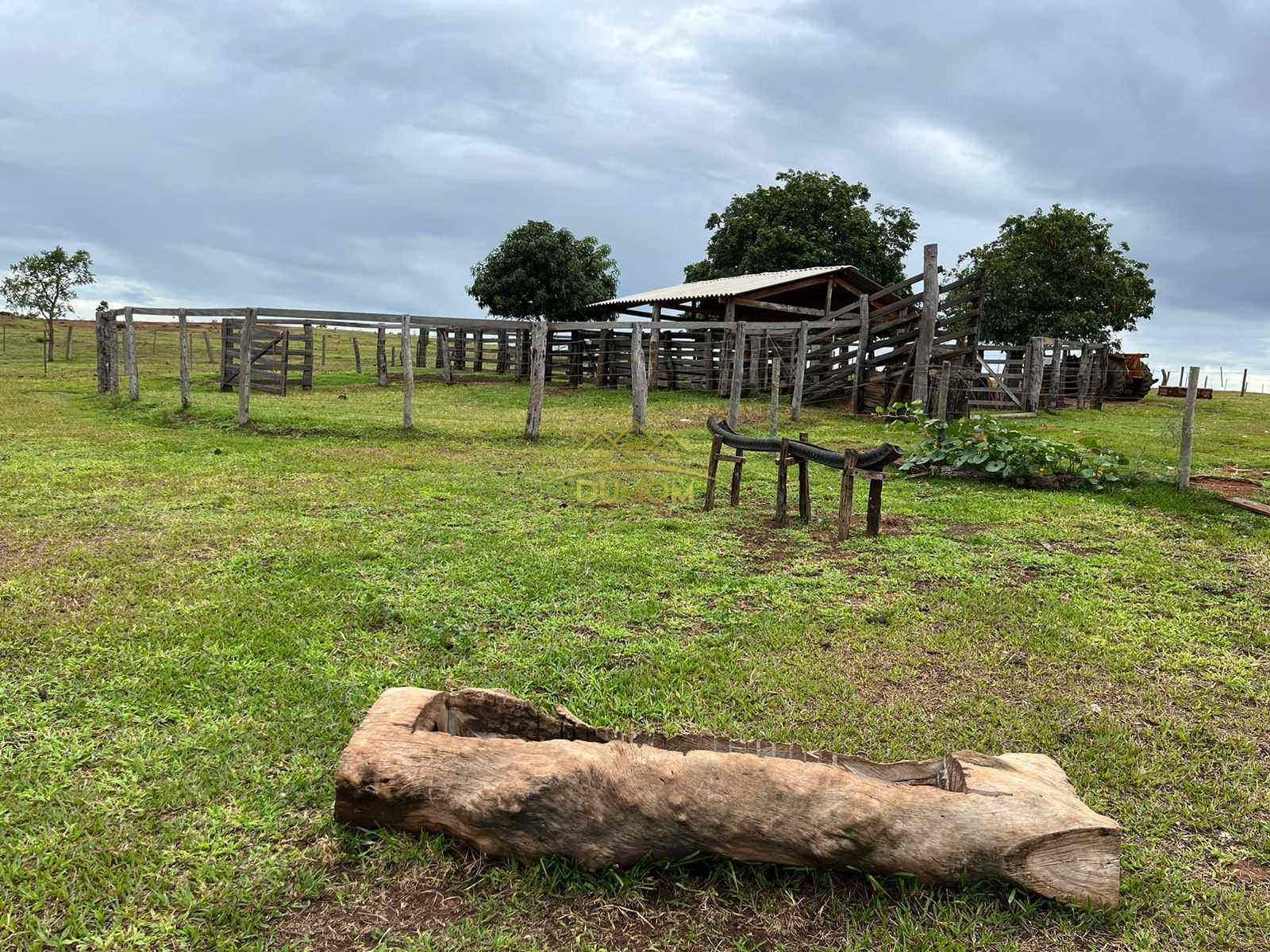 Fazenda para Venda por R$ 7.055.000, Zona Rural em Inocencia/MS foto 8