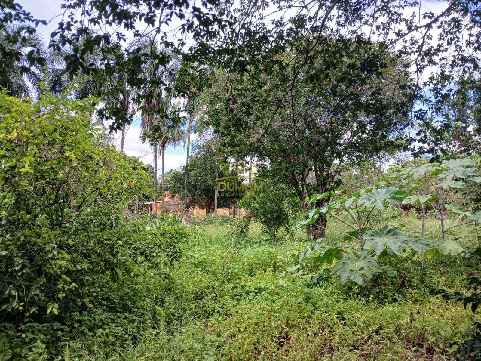 Casa para Venda por R$ 180.000, Arapua em Tres Lagoas/MS foto 7