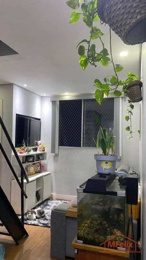 Cobertura com 2 quartos, Jardim Silvestre - Guarulhos foto 7