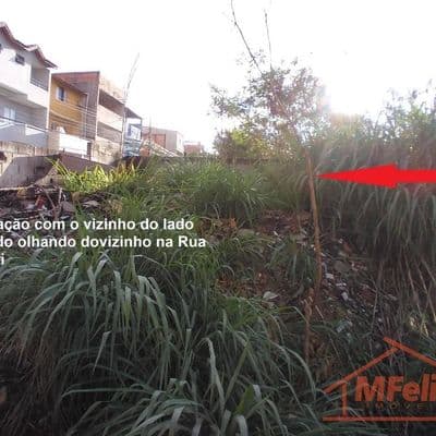 Lote/Terreno à Venda, Mikail II - Guarulhos foto 3