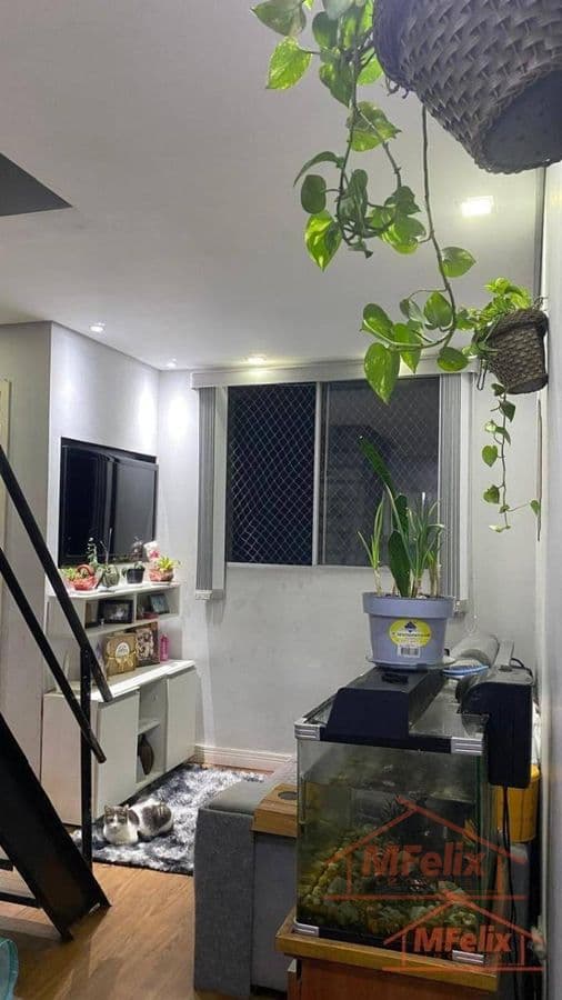 Cobertura com 4 quartos à Venda, Cidade Parque Alvorada - Guarulhos foto 1