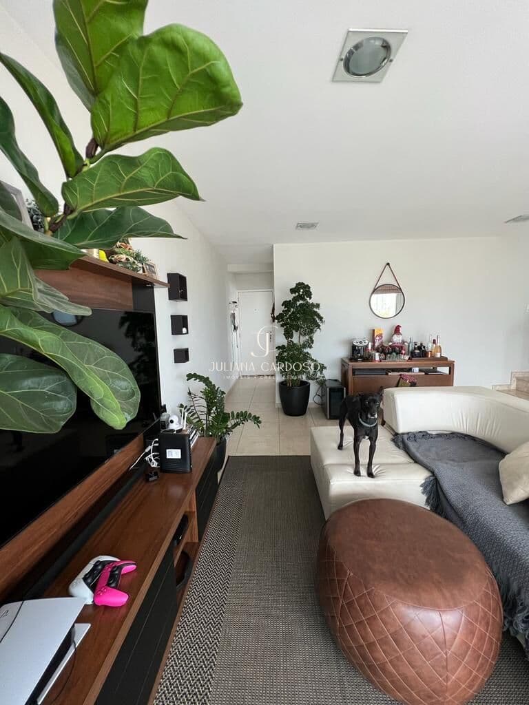 Apartamento 3Q - Nova Petrópolis foto 3