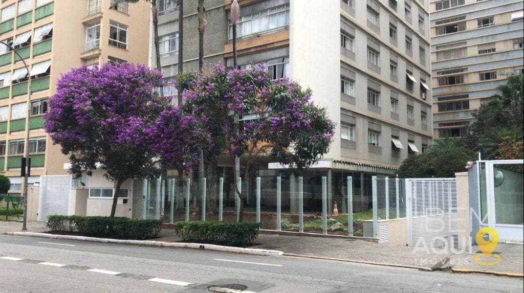 Apartamento à venda no Condomínio Edifício Novo Belo Horizonte - São Paulo/SP foto 4
